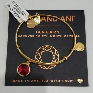 Alex and Ani January Birthstone Garnet bracelet